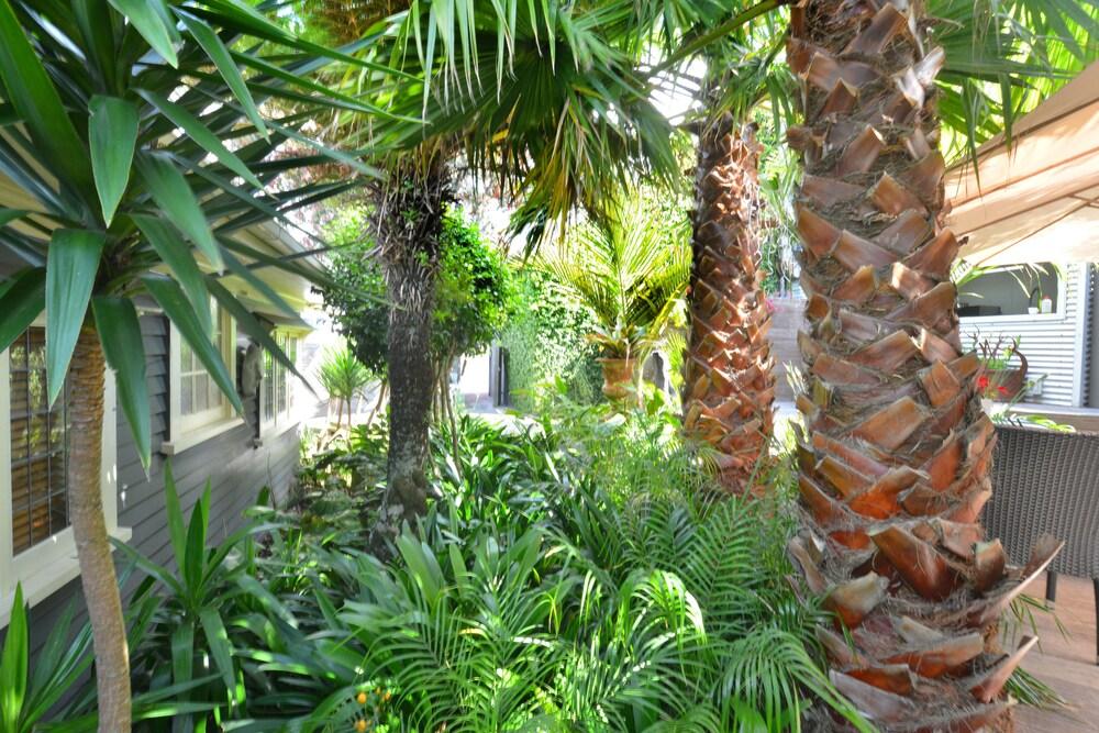 Nice Hotel New Plymouth Bagian luar foto
